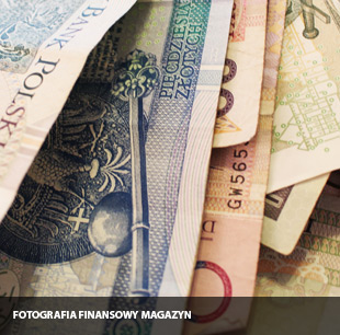 złoty